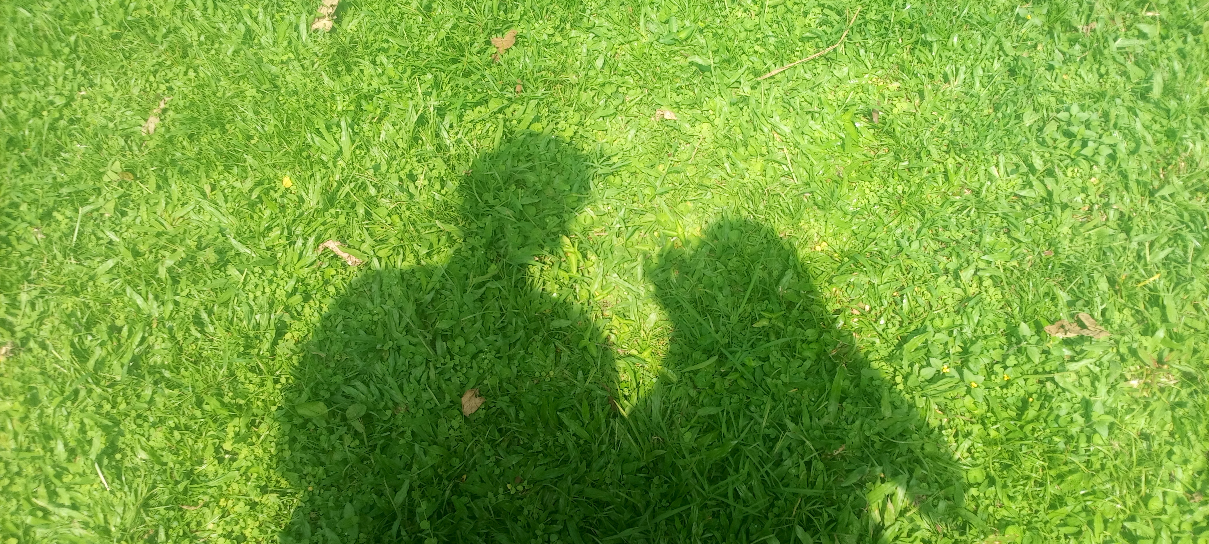 foto note 2